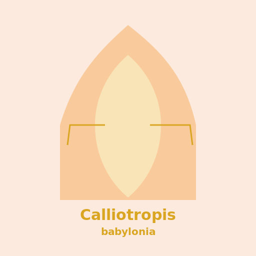 Calliotropis babylonia - AI Prompt #47511 - DrawGPT