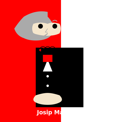 Portrait of Josip Manolić, former Croatian Prime Minister - AI Prompt #47656 - DrawGPT