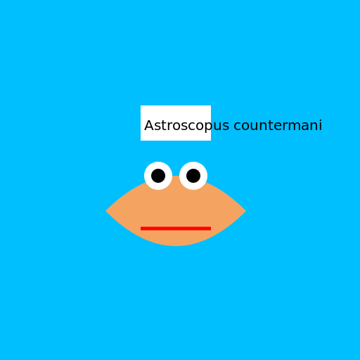 Drawing of Astroscopus countermani, a fish with a funny name - AI Prompt #49476 - DrawGPT