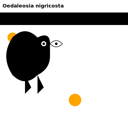 Oedaleosia nigricosta - A colorful beetle with black stripes and orange spots - AI Prompt #52204 - DrawGPT