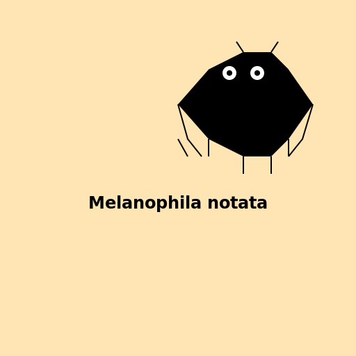Melanophila notata - The Black Fire Beetle - AI Prompt #52332 - DrawGPT
