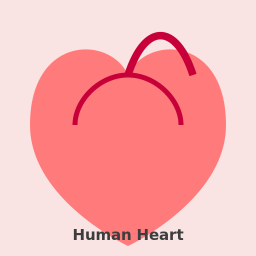 Human Heart - AI Prompt #54014 - DrawGPT