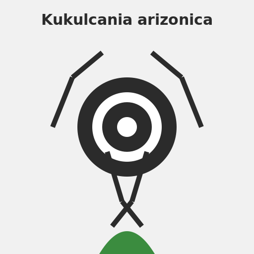 Kukulcania arizonica - A spider perched on a leaf - AI Prompt #55455 - DrawGPT
