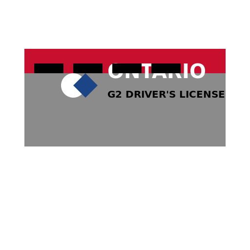 ONTARIO CANADA G2 DRIVERS LICENSES - AI Prompt #56843 - DrawGPT