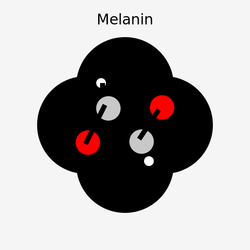 Melanin Molecule Drawing - AI Prompt #57134 - DrawGPT