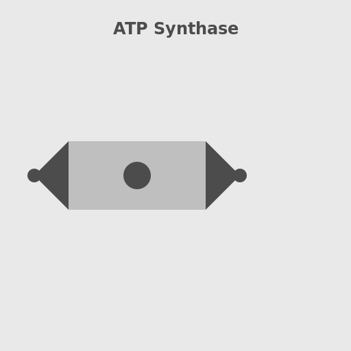 ATP Synthase - The Molecular Machine - AI Prompt #57778 - DrawGPT