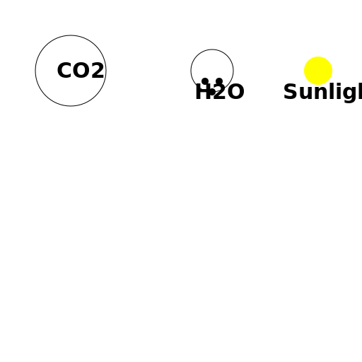 Photosynthesis Reactants - DrawGPT