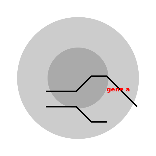 Simplified Diagram of an Animal Cell with Gene A - DrawGPT