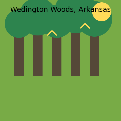 Wedington Woods, Arkansas - DrawGPT