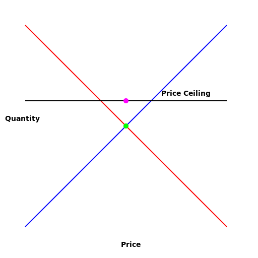 Price Ceiling Graph - DrawGPT