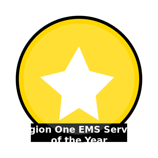 Region One EMS Service of the Year - DrawGPT