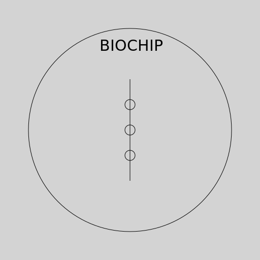 Biochips Schematic - DrawGPT