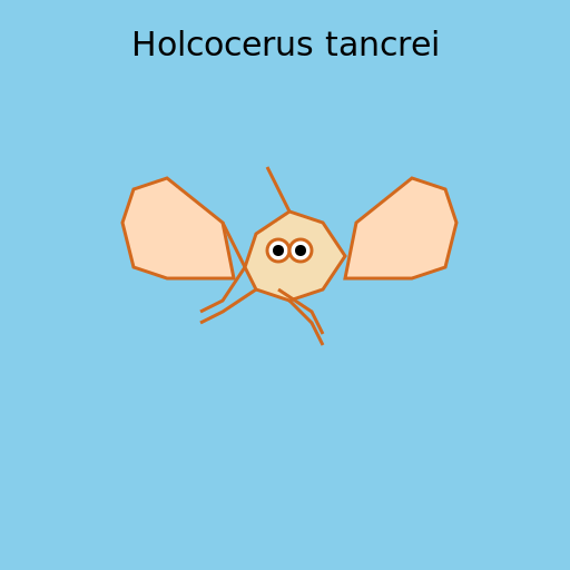 Holcocerus tancrei - A Beautiful Butterfly - DrawGPT