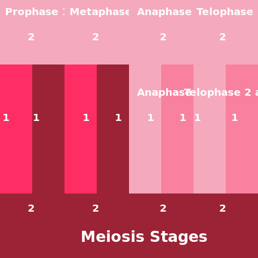 4 (2 pairs), 1N=2, 2N=4 - DrawGPT