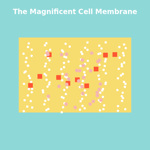 The Magnificent Cell Membrane - DrawGPT