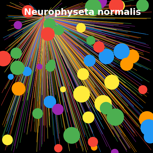 Neurophyseta normalis - DrawGPT