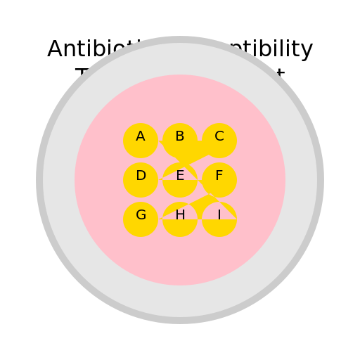 Antibiotic Susceptibility Testing Instrument - DrawGPT