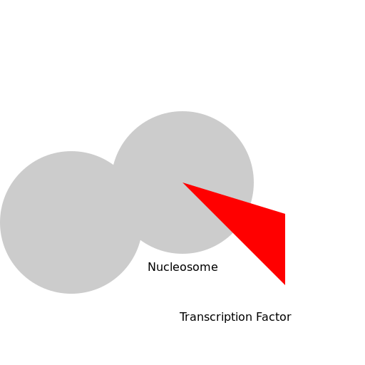 Nucleosome Displacement - DrawGPT