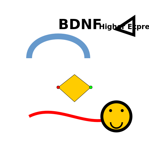 The Magic of BDNF: From Synaptic Plasticity to Myelin Repair - DrawGPT