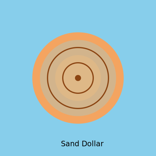 Sanddollar - DrawGPT