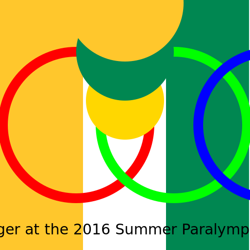 Niger at the 2016 Summer Paralympics - DrawGPT