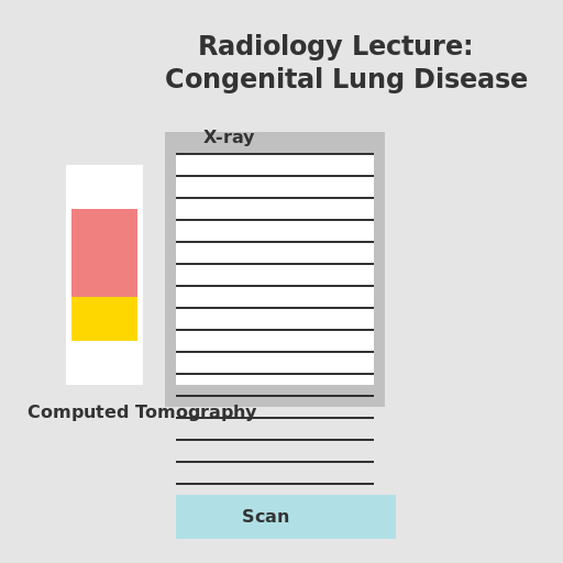 A Radiology Lecture - DrawGPT