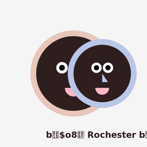 Jane's Perception of Rochester - DrawGPT