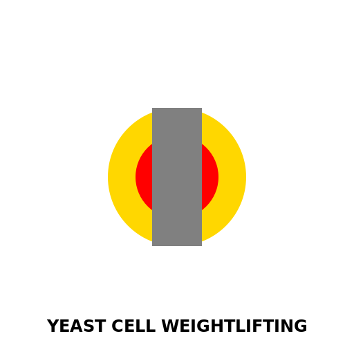 Weightlifting Yeast Cell - DrawGPT