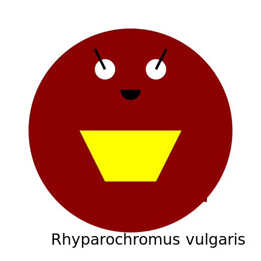 Rhyparochromus vulgaris - DrawGPT