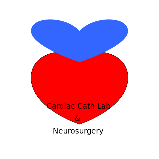 Cardiac Cath Lab Neurosurgery Logo - DrawGPT
