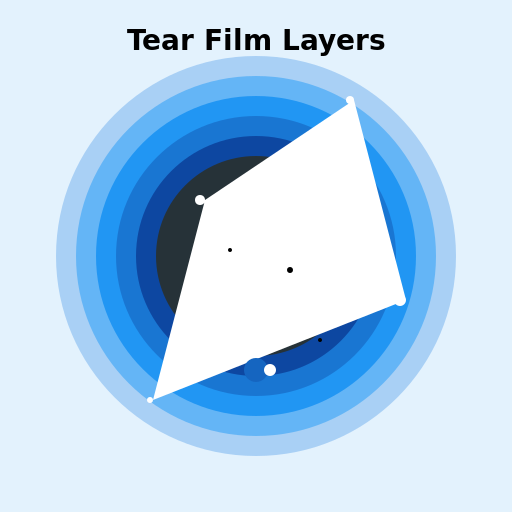 Drawing Tear Film Layers - DrawGPT