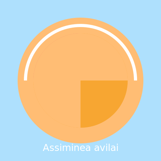 Assiminea avilai - DrawGPT