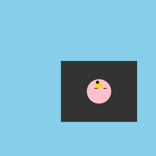 Kitten in F-117's Plane - DrawGPT