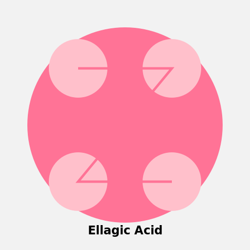 Colorful Ellagic Acid - DrawGPT