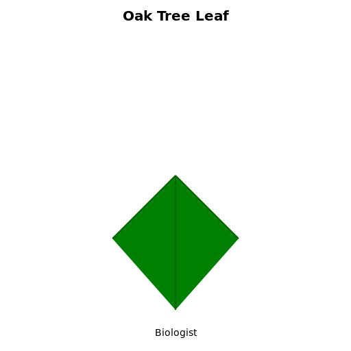 Oak Tree Leaf for Biologist - DrawGPT