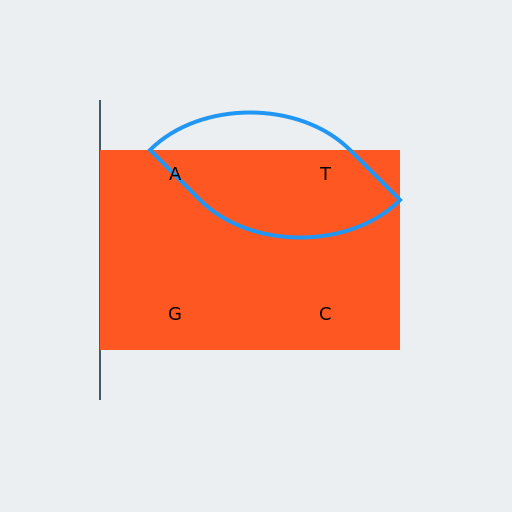 Compressive Genomic Analysis - DrawGPT