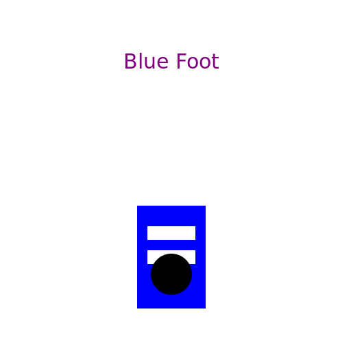 Blue Foot - DrawGPT