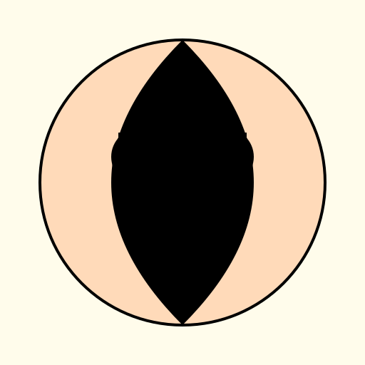 An Asian Woman - DrawGPT