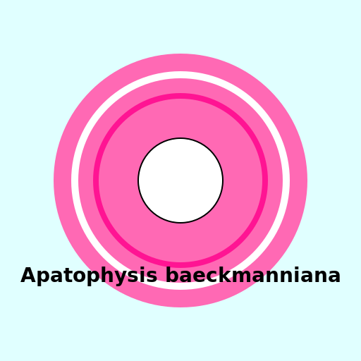 Apatophysis baeckmanniana - DrawGPT
