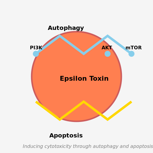 Autophagy and Apoptosis - DrawGPT