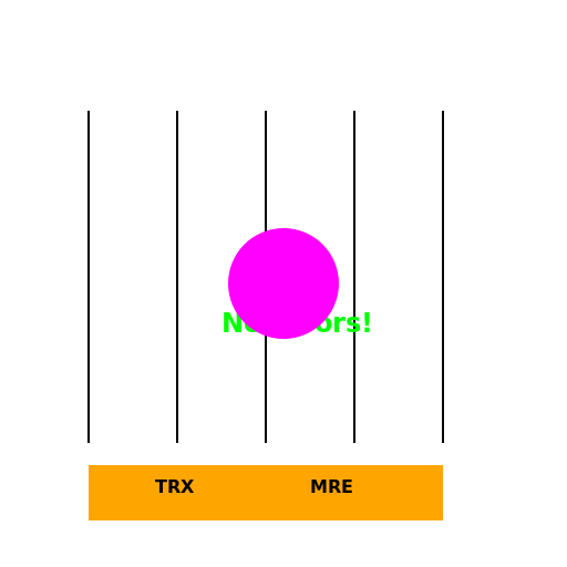 Smooth Sailing: Error-Free FHIR Messages - DrawGPT