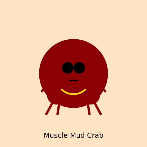 Muscle Mud Crab - DrawGPT