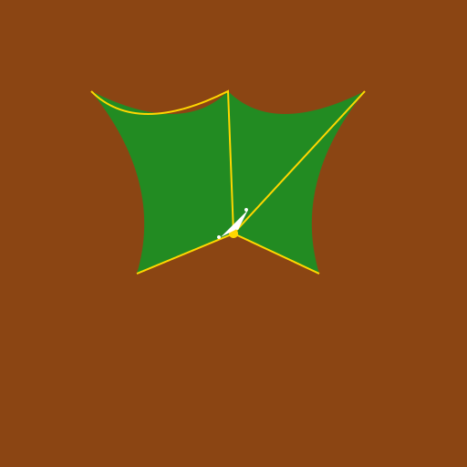 Stigmella excelsa - A Majestic Leaf Miner - DrawGPT