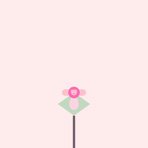 Rosa bracteata - The Beautiful Bracteate Rose - DrawGPT