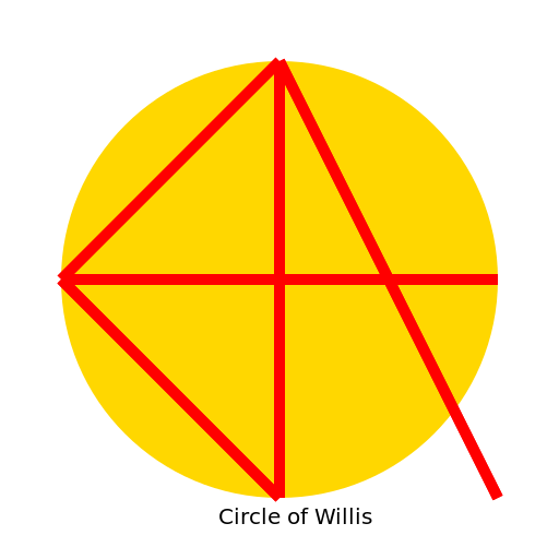 Circle of Willis - DrawGPT