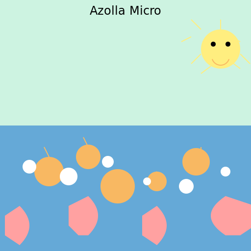 Azolla Micro - DrawGPT