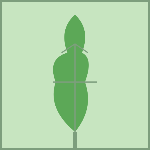 Nature's Elegance - DrawGPT