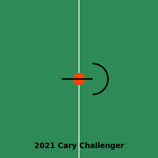 2021 Cary Challenger - DrawGPT