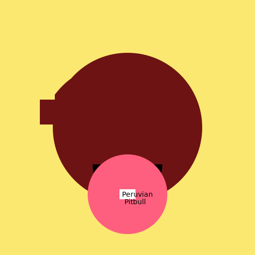 Peruvian Pitbull Logo - DrawGPT