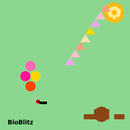 BioBlitz - DrawGPT